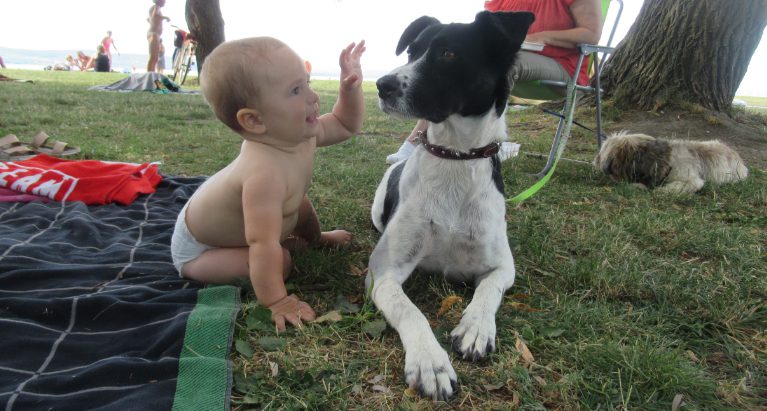Luca kutya a Balatonon kisbabával