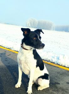 LucaKutya a bicikliúton figyeli a havas tájat