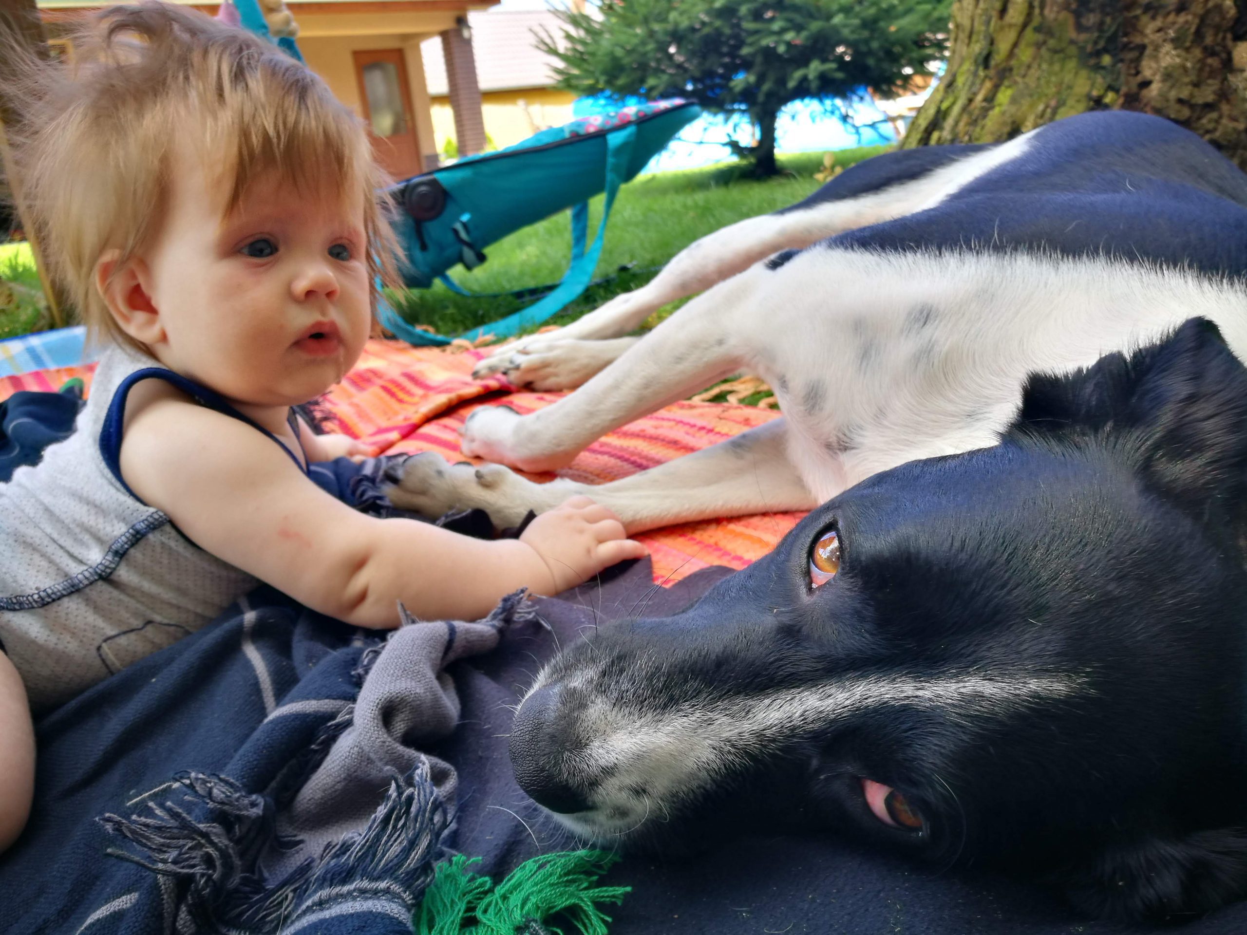 LucaKutya a kertben fekszik egy pléden egy kisbabával.