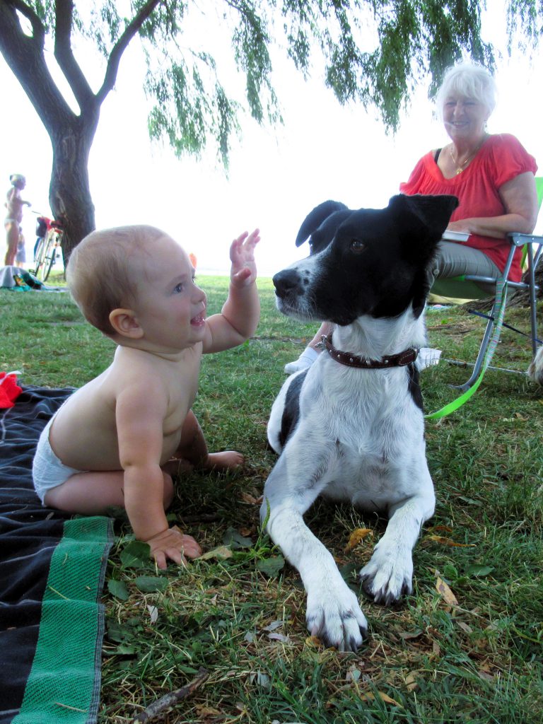LucaKutya ül a főben a Balaton parton, mellette egy kisbaba ül és Lucát piszkálja.