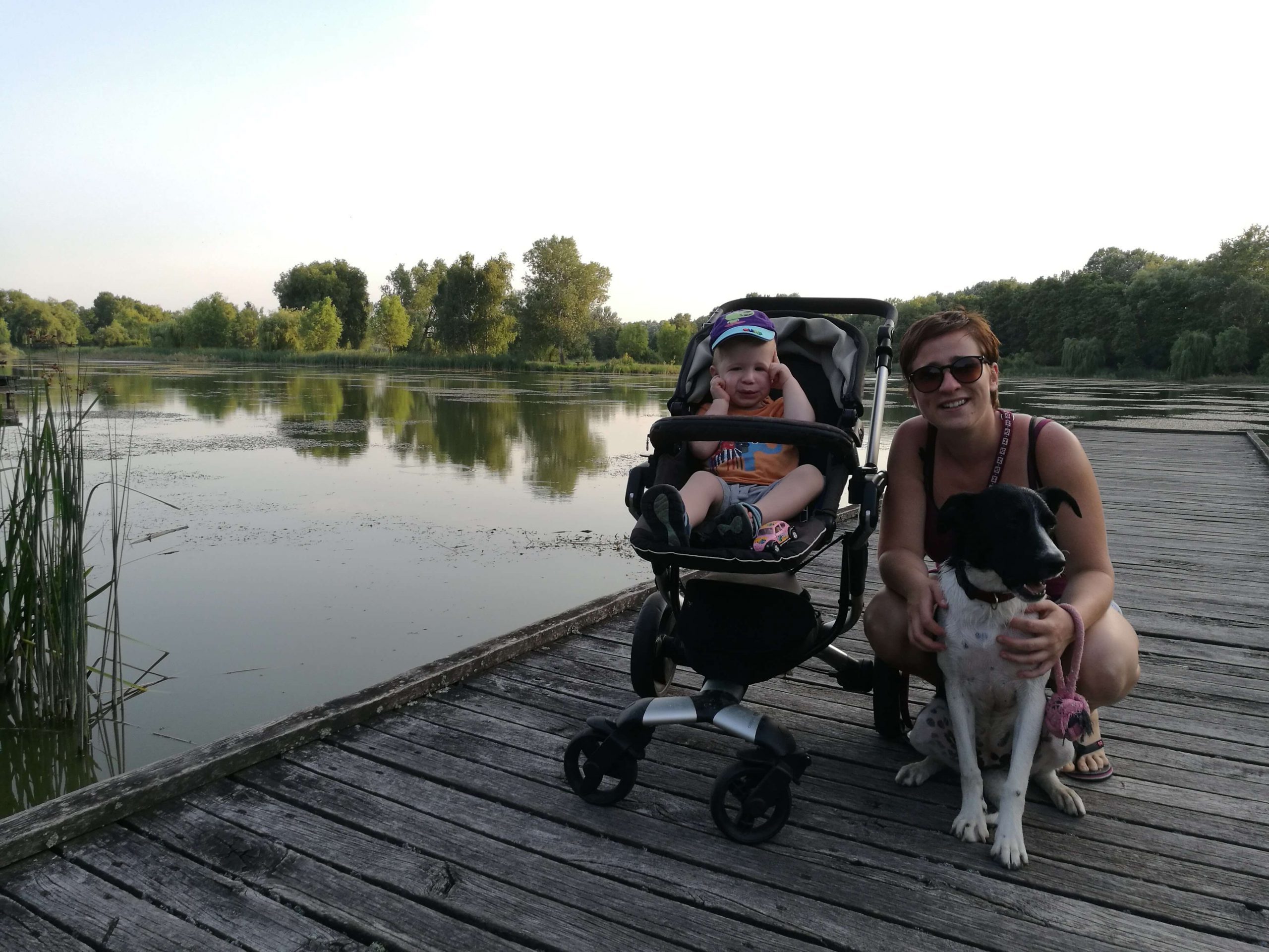 LucaKutya a Vekeri tónál kirándul. A tó előtt ül a gazdájával és annak kisfiával, aki babakocsiban van.