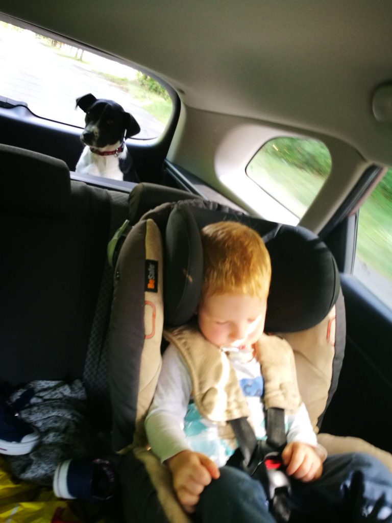 LucaKutya kirándulni megy. Autóban utazik a csomagtartóban, előtte egy kisfiú alszik gyerekülésben.