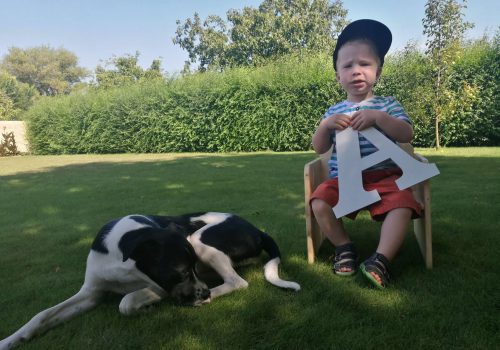 LucaKutya a kertben fekszik a zöld fűben. Mellette egy gyerek ül a székben és egy A betűt tart a kezében.